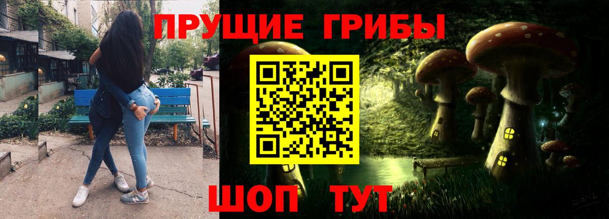 Псилоцибиновые грибы Psilocybine cubensis Ишим